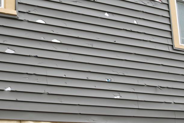 Best Siding for New Construction  in Eastpoint, FL